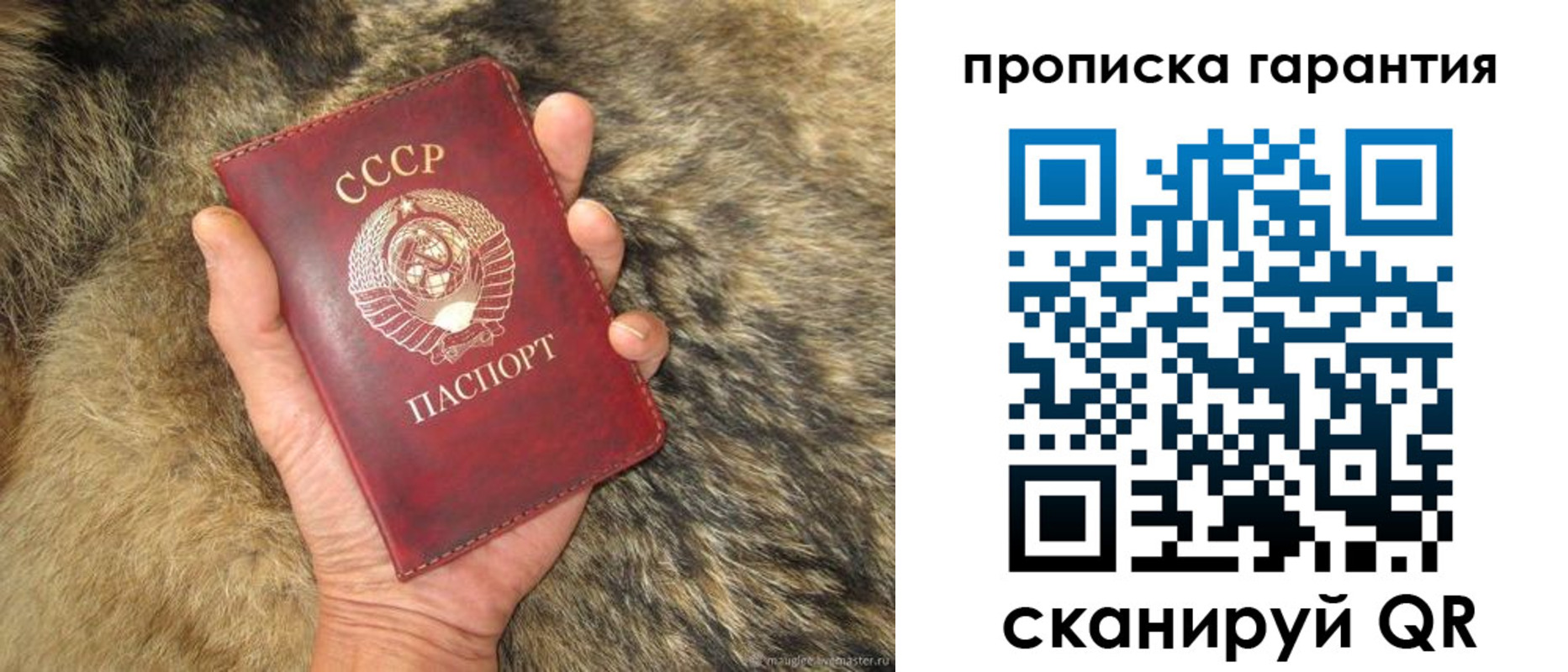 временная регистрация гарантия в Вольске